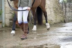 Dubarry Galway -Horse Riding Equipment DB 3885 4