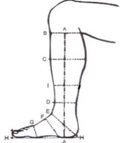 Riding Boot Roberto 5 Riding Boot Roberto -Horse Riding Equipment De Niro matt 1