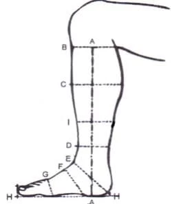 Riding Boot Roberto 3 Riding Boot Roberto - Image 3