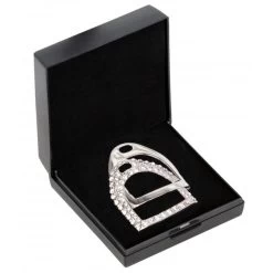 SD © Stirrups Stock Pin - Crystal
