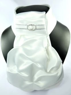 Stock Tie Regency - Silver Oval